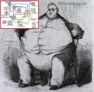 Obesidad: un paso decisivo hacia su comprensin y tratamiento?