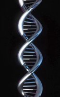 El Genoma misterioso