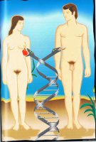 La bsqueda molecular de Adn y Eva