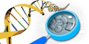 Un importante dilema tico-cientfico: la modificacin del ADN de embriones humanos