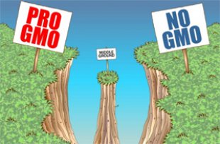 El declogo de mitos sobre los OGM-I